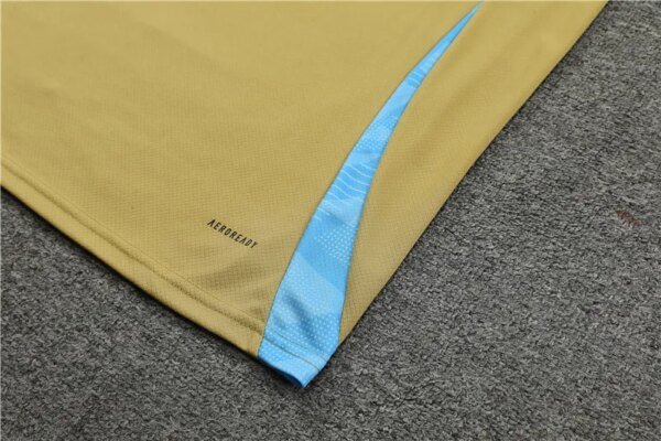 2024 Argentina Short Sleeve Training Suit - Image 10