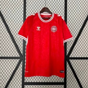 2024 Denmark Home Fans  Jersey