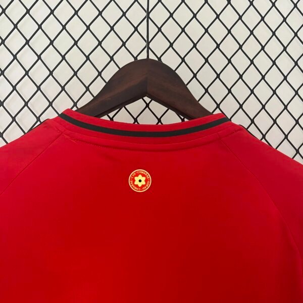 2024 Wales Home Fans Jersey - Image 4