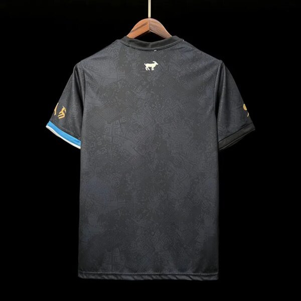 23-24 Argentina Special Fans Jersey - Image 4